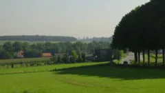 Landschap (weide-weg)