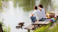 Picknick bij Waterplas