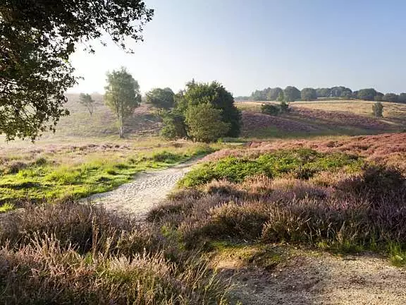 Rondje Mookerheide