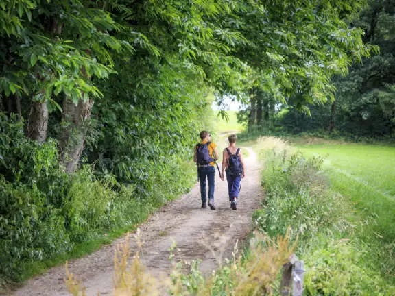 Wandelaars