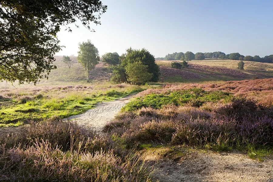Rondje Mookerheide