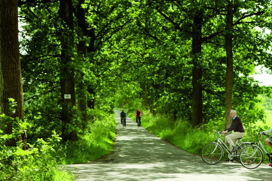 Fietsers