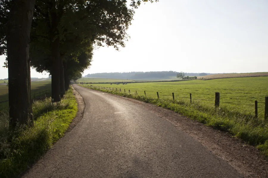 Landschap (ochtend)