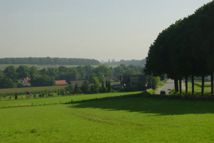 Landschap (weide-weg)
