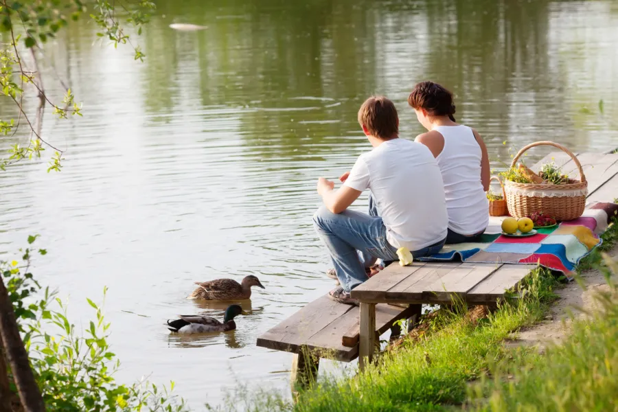 Picknick bij Waterplas