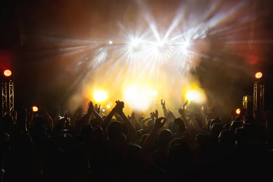 Festival Vibes