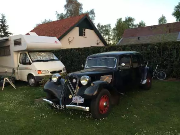 Basisveld (oldtimer)