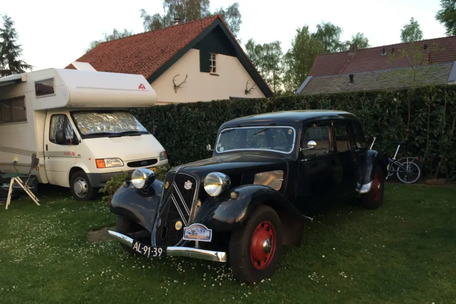 Basisveld (oldtimer)