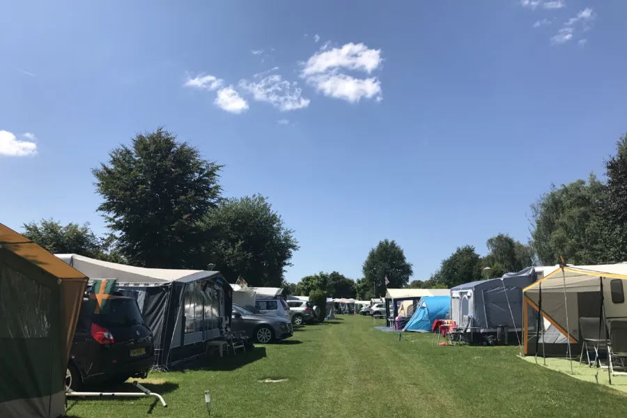 Comfort (veld C - 4daagse)