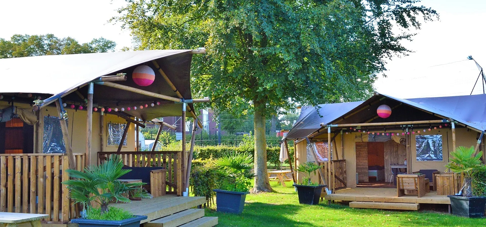 Safaritent (tent 2-3)